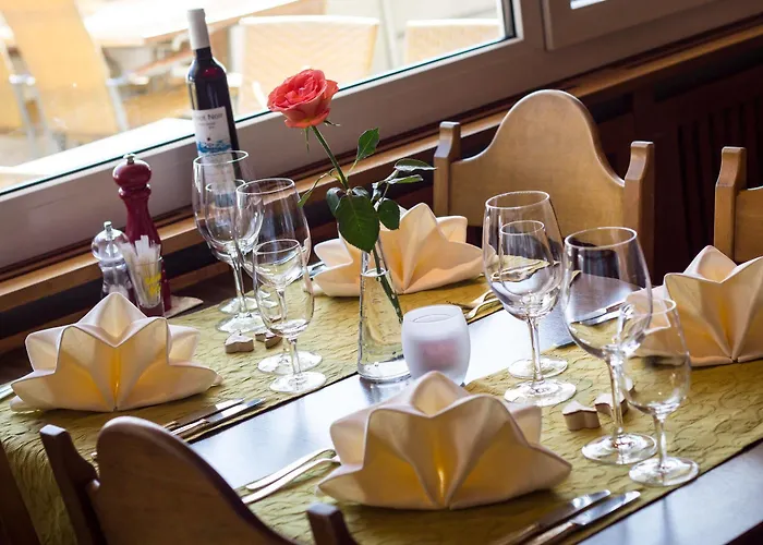 布里斯托尔酒店 3* 萨斯费