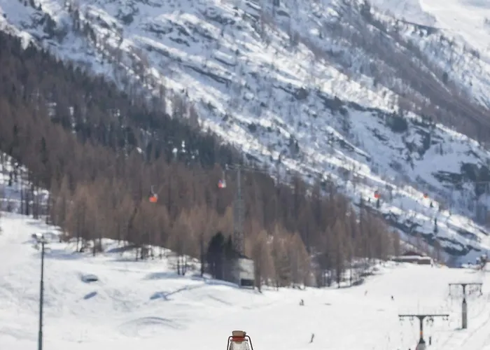 布里斯托尔酒店